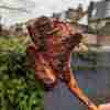 lamb cutlet