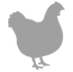 free range