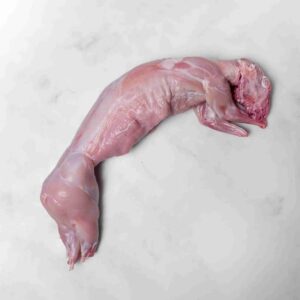 Whole Rabbit – Ben Rigby Game (Frozen Fresh)