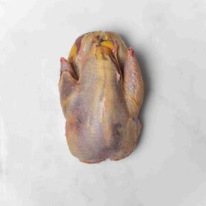 Partridge - Ben Rigdy Game - Frozen Fresh